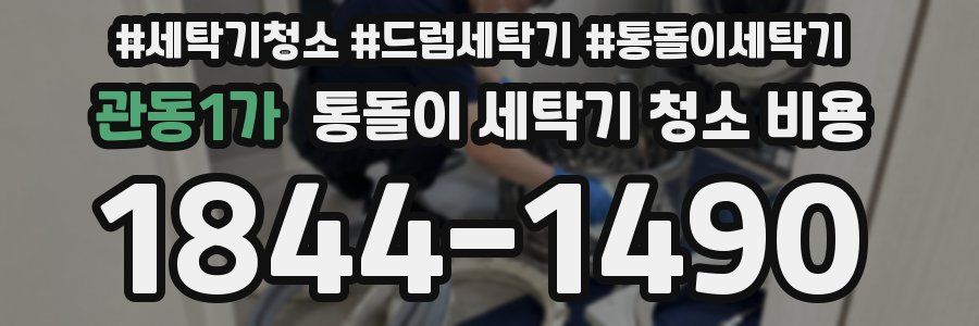 관동1가 통돌이 세탁기 청소 비용