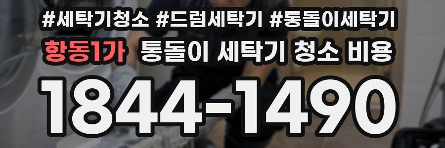 항동1가 통돌이 세탁기 청소 비용