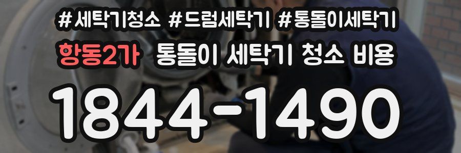 항동2가 통돌이 세탁기 청소 비용