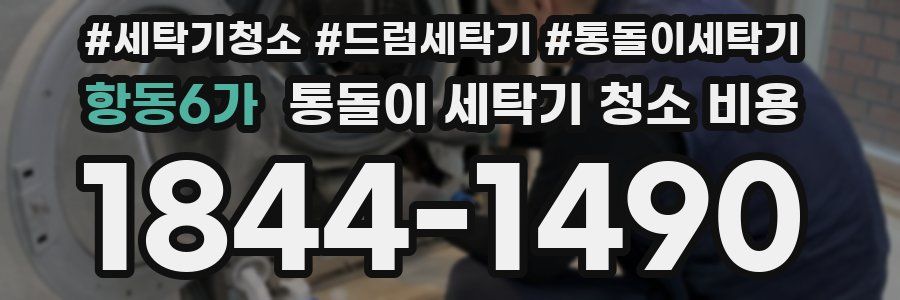 항동6가 통돌이 세탁기 청소 비용