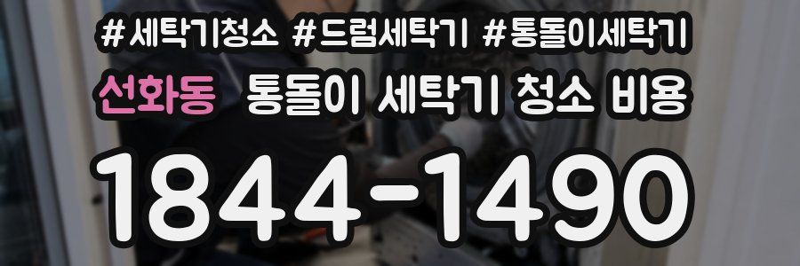 선화동 통돌이 세탁기 청소 비용