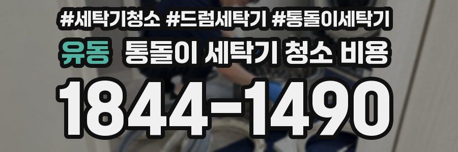 유동 통돌이 세탁기 청소 비용