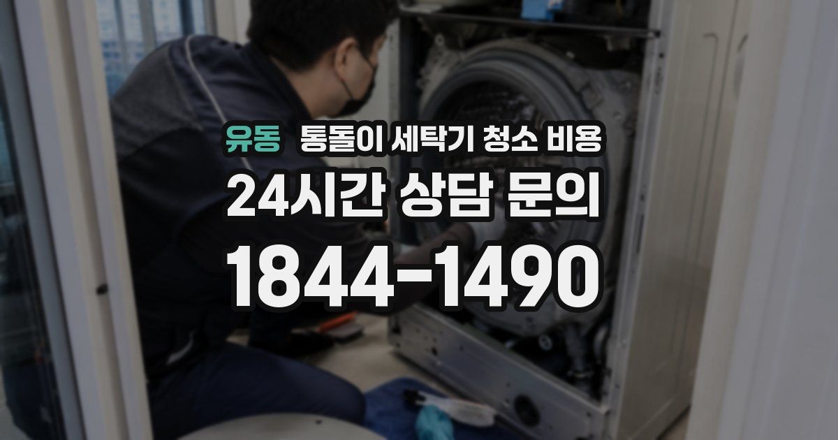 유동 통돌이 세탁기 청소 비용