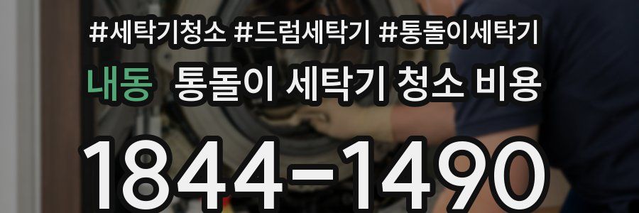 내동 통돌이 세탁기 청소 비용