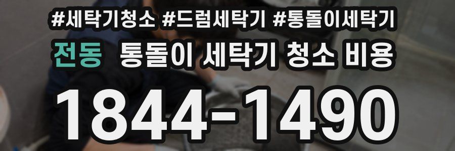 전동 통돌이 세탁기 청소 비용