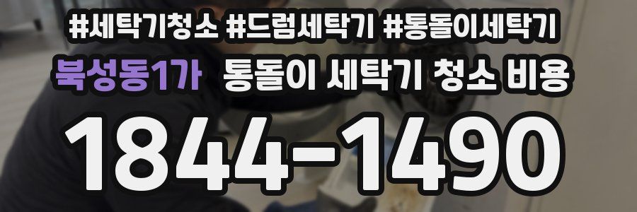 북성동1가 통돌이 세탁기 청소 비용