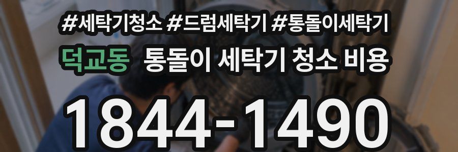 덕교동 통돌이 세탁기 청소 비용