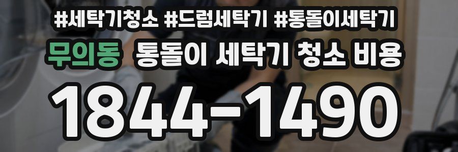 무의동 통돌이 세탁기 청소 비용