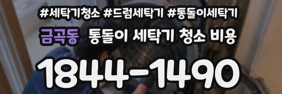 금곡동 통돌이 세탁기 청소 비용