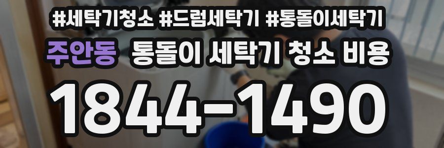 주안동 통돌이 세탁기 청소 비용