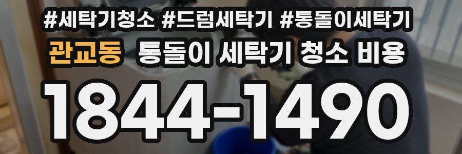 관교동 통돌이 세탁기 청소 비용