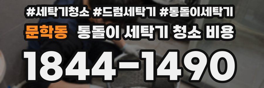 문학동 통돌이 세탁기 청소 비용