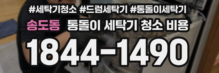 송도동 통돌이 세탁기 청소 비용