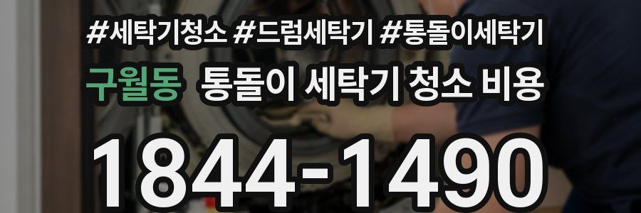 구월동 통돌이 세탁기 청소 비용