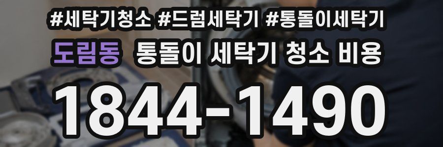도림동 통돌이 세탁기 청소 비용