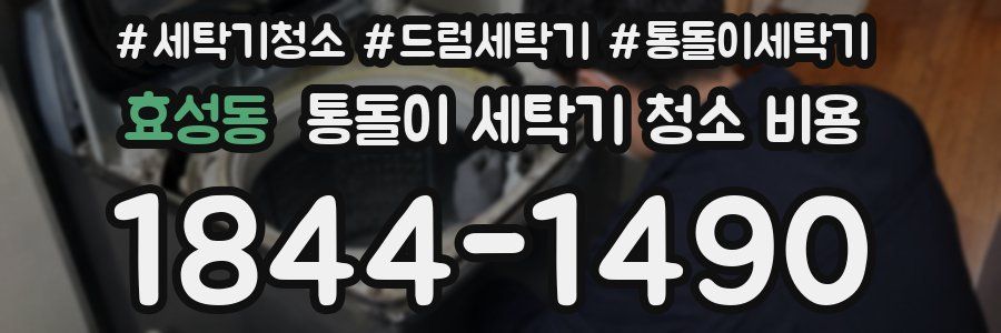 효성동 통돌이 세탁기 청소 비용