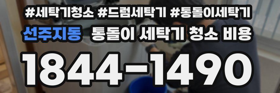 선주지동 통돌이 세탁기 청소 비용