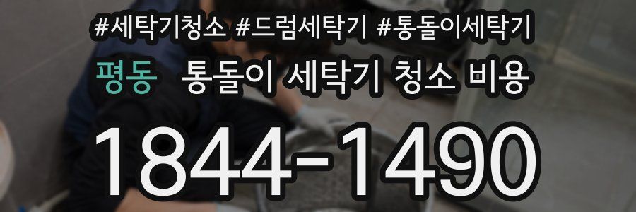 평동 통돌이 세탁기 청소 비용
