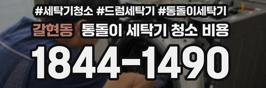 갈현동 통돌이 세탁기 청소 비용