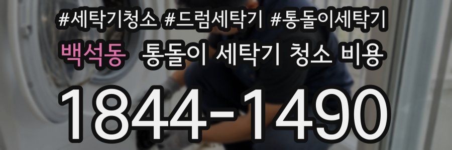 백석동 통돌이 세탁기 청소 비용