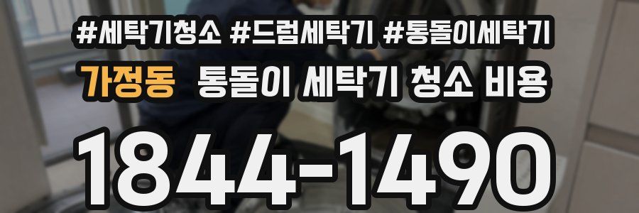 가정동 통돌이 세탁기 청소 비용