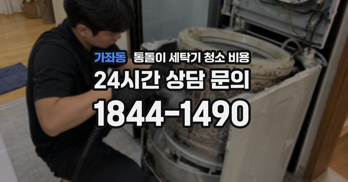 가좌동 통돌이 세탁기 청소 비용