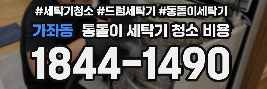 가좌동 통돌이 세탁기 청소 비용