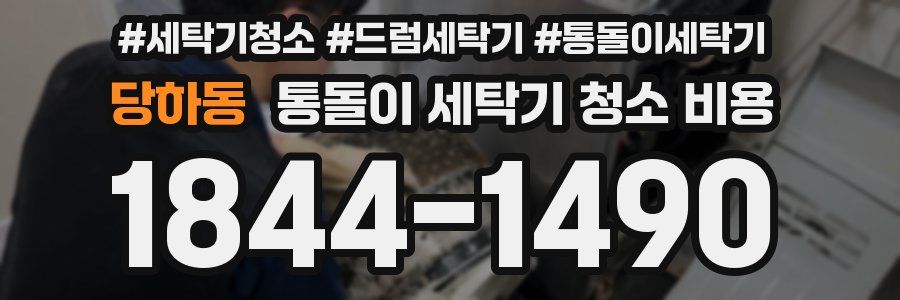 당하동 통돌이 세탁기 청소 비용