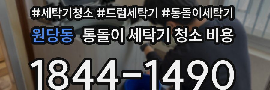 원당동 통돌이 세탁기 청소 비용