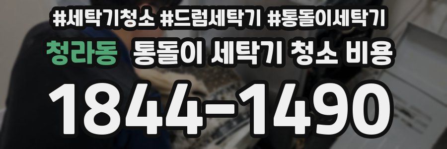 청라동 통돌이 세탁기 청소 비용