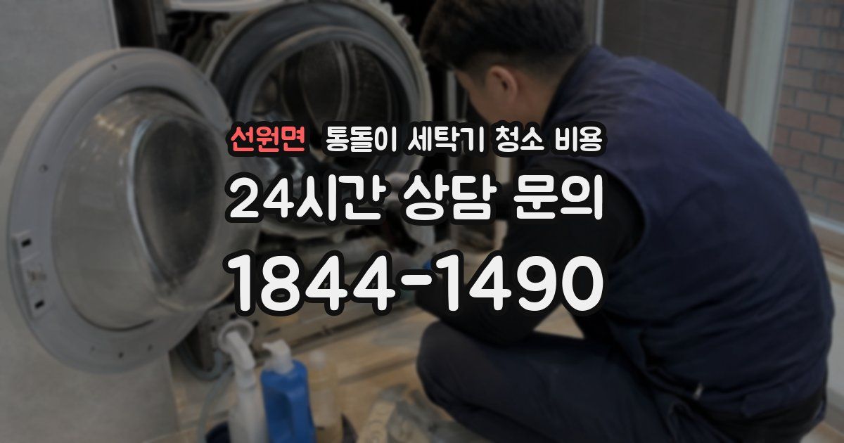 선원면 통돌이 세탁기 청소 비용