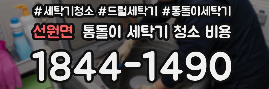 선원면 통돌이 세탁기 청소 비용