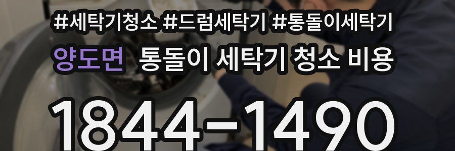 양도면 통돌이 세탁기 청소 비용