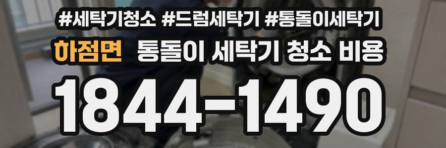 하점면 통돌이 세탁기 청소 비용