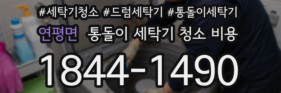 연평면 통돌이 세탁기 청소 비용