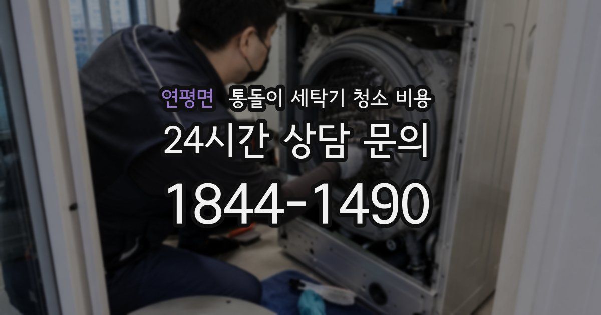 연평면 통돌이 세탁기 청소 비용