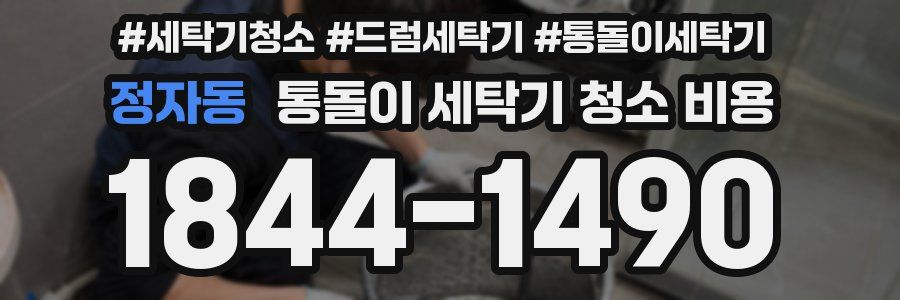 정자동 통돌이 세탁기 청소 비용