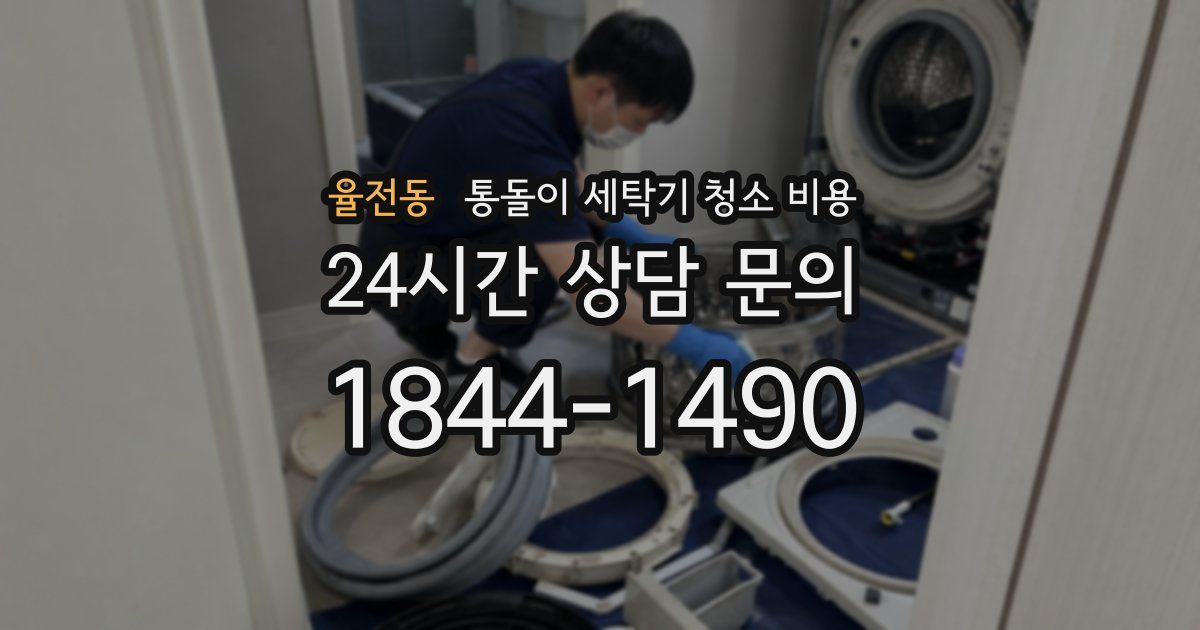 율전동 통돌이 세탁기 청소 비용
