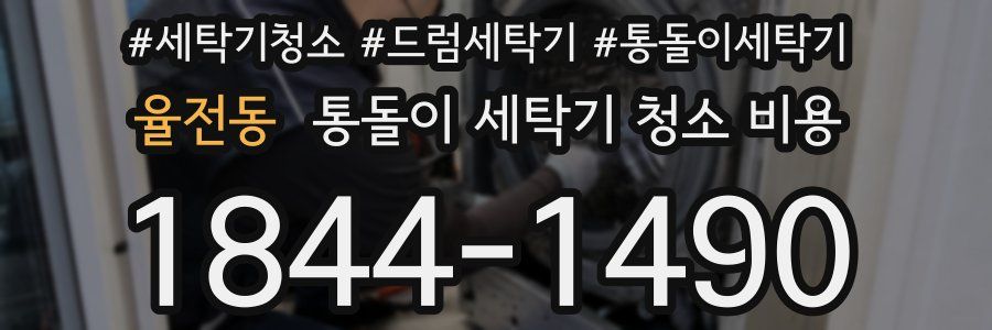 율전동 통돌이 세탁기 청소 비용