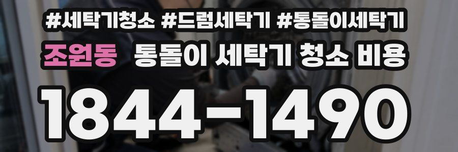 조원동 통돌이 세탁기 청소 비용