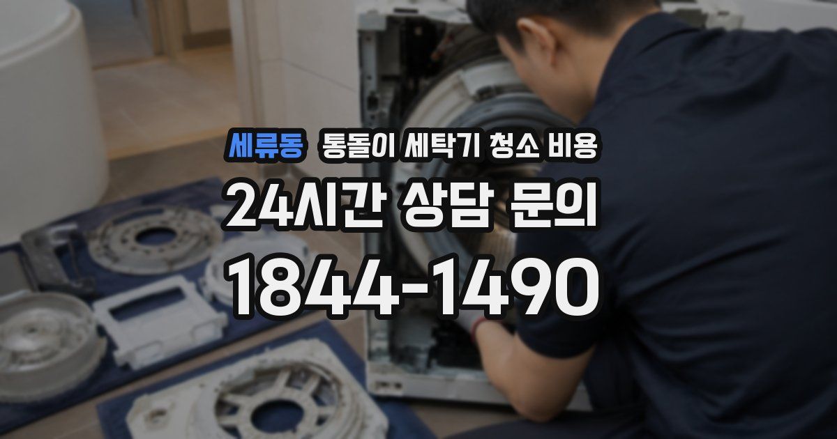 세류동 통돌이 세탁기 청소 비용