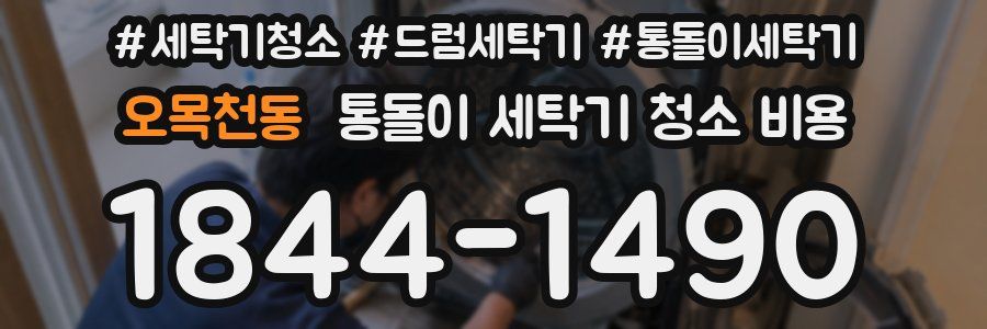 오목천동 통돌이 세탁기 청소 비용