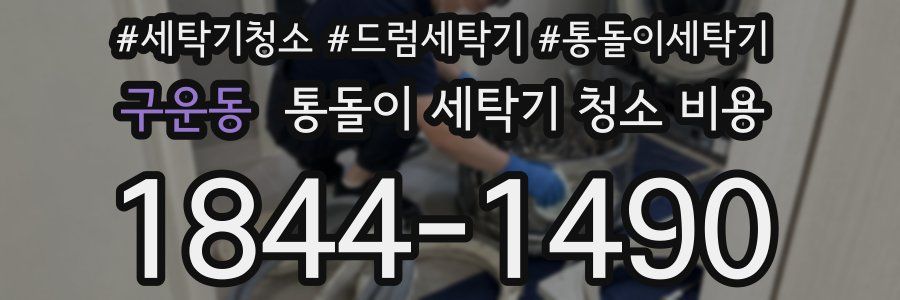 구운동 통돌이 세탁기 청소 비용