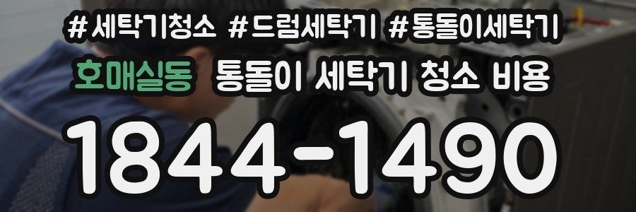 호매실동 통돌이 세탁기 청소 비용