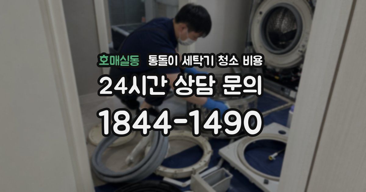호매실동 통돌이 세탁기 청소 비용