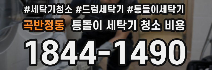 곡반정동 통돌이 세탁기 청소 비용