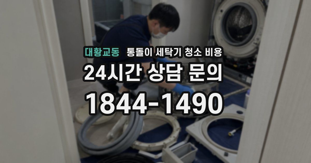 대황교동 통돌이 세탁기 청소 비용
