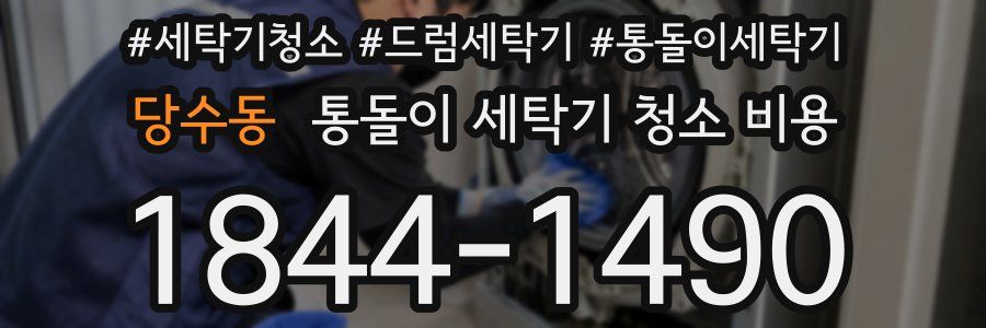 당수동 통돌이 세탁기 청소 비용