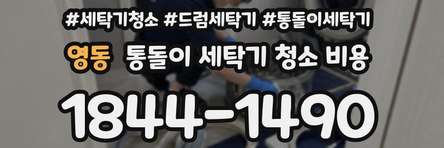 영동 통돌이 세탁기 청소 비용