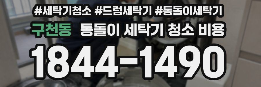 구천동 통돌이 세탁기 청소 비용